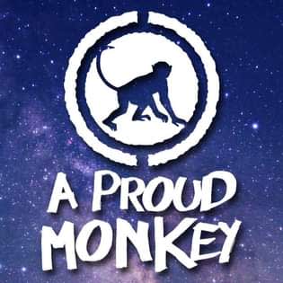 A Proud Monkey: The Most Accurate Tribute to Dave Matthews Band in the World